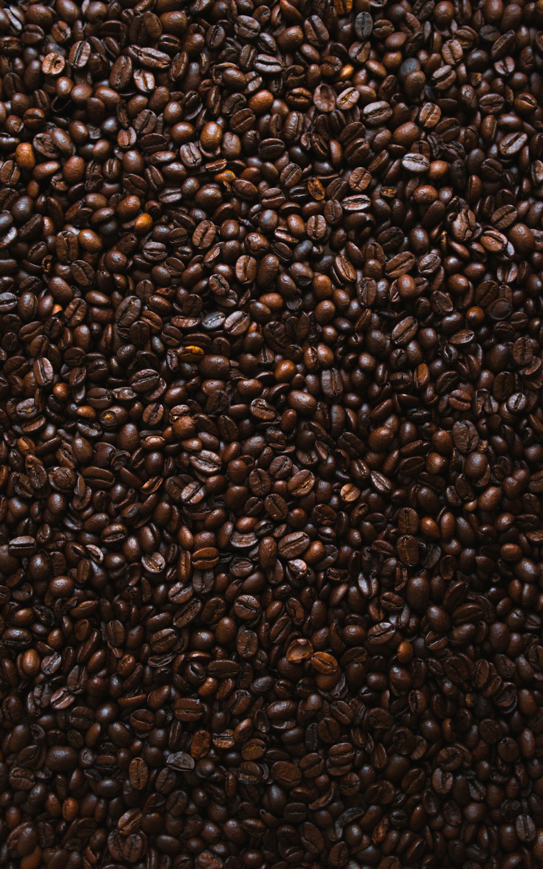 brown-coffee-beans-lot-vs0tzshvcac