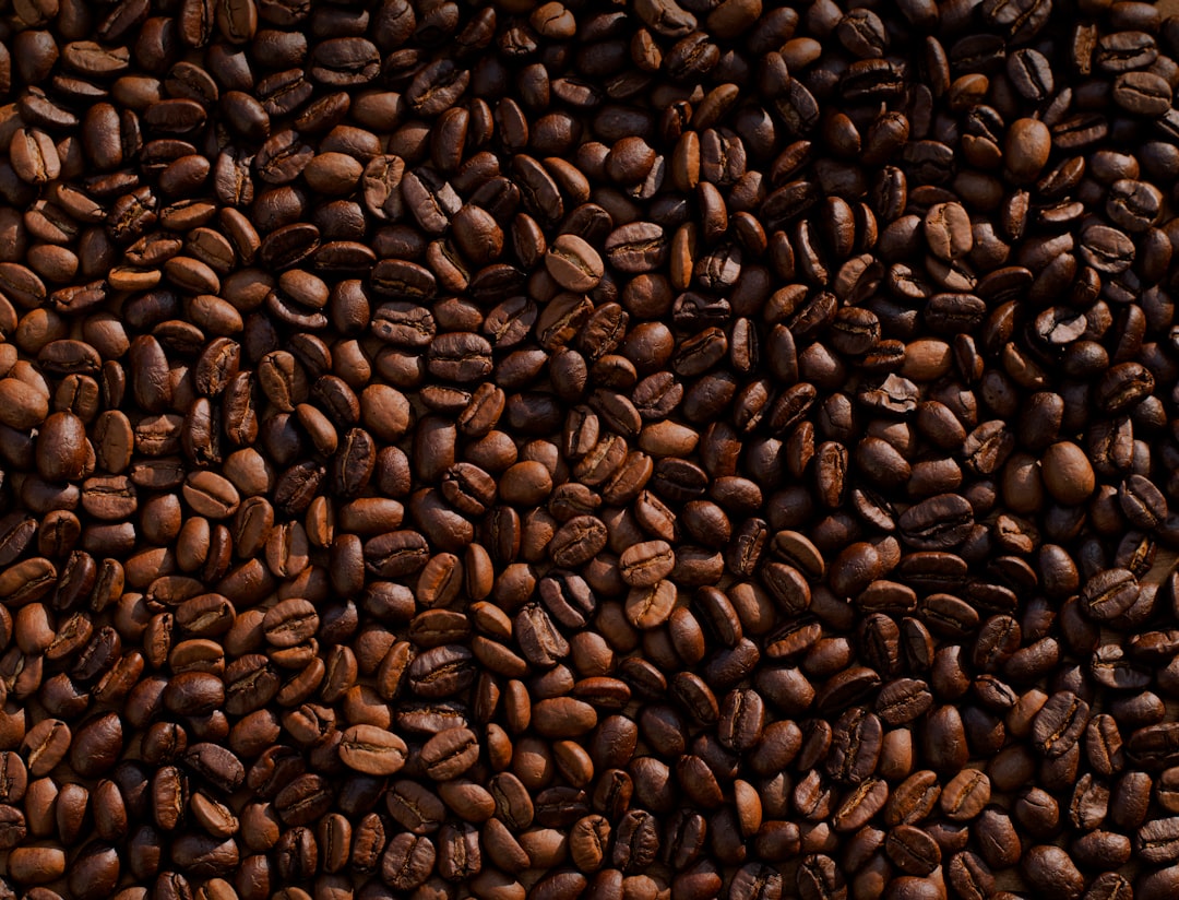 coffee-bean-lot-td4dbagg2we